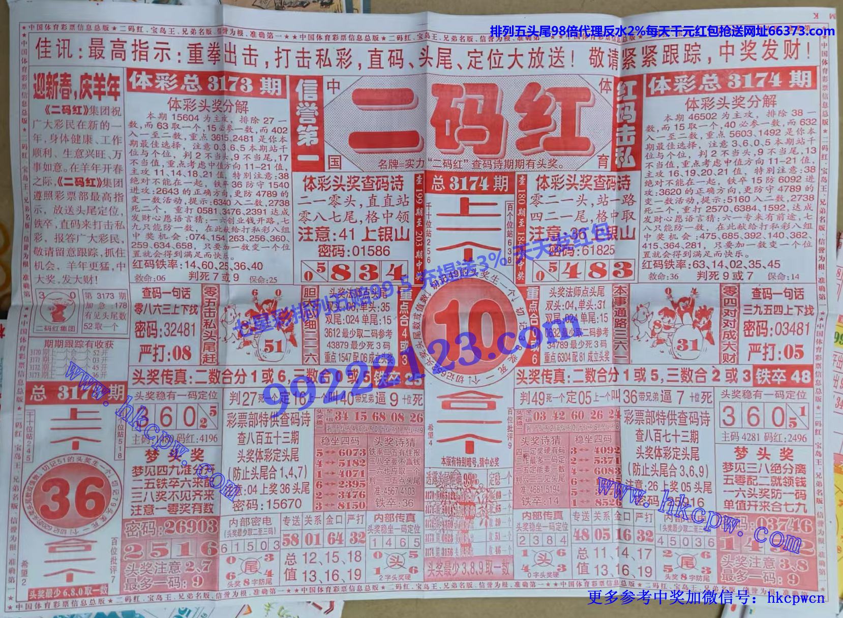 .jpg