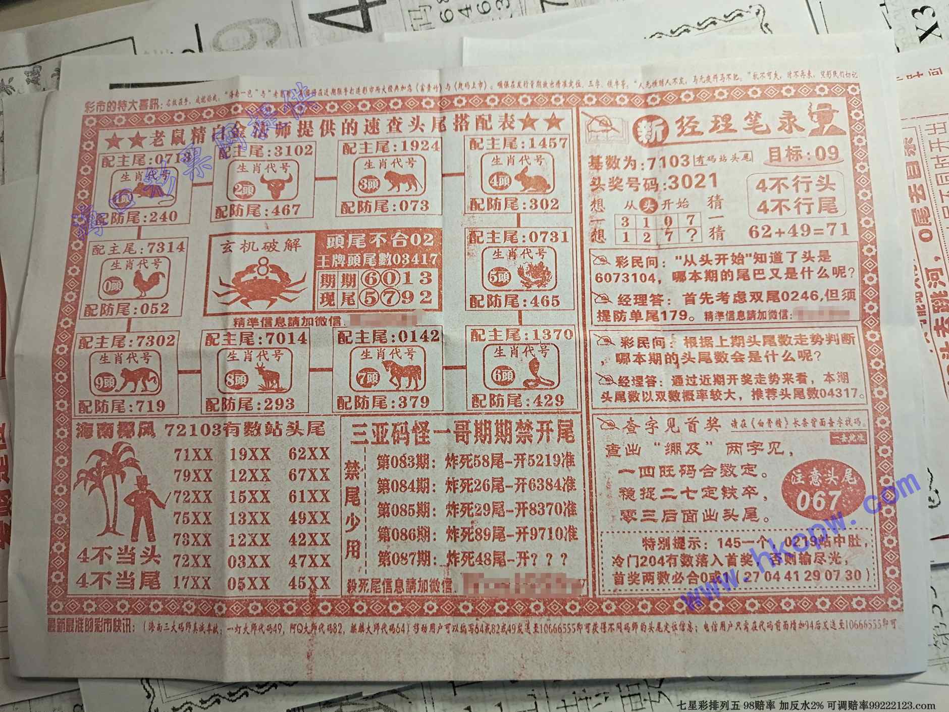 ͷβ������B.jpg