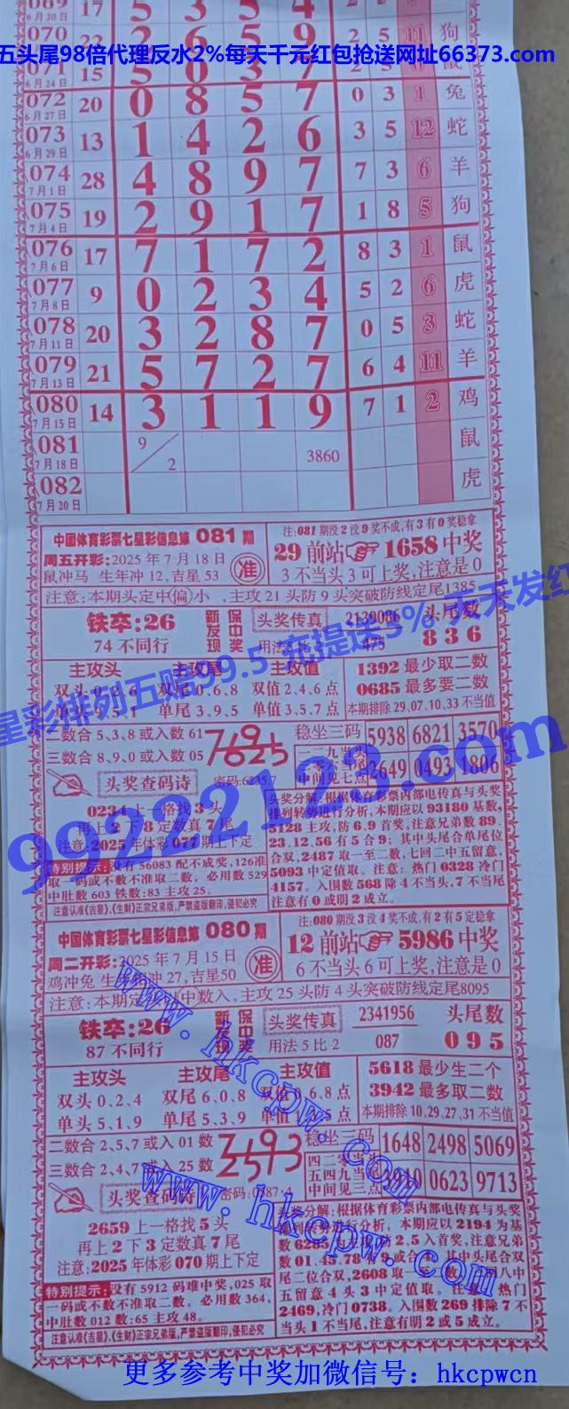 ���� (1).jpg