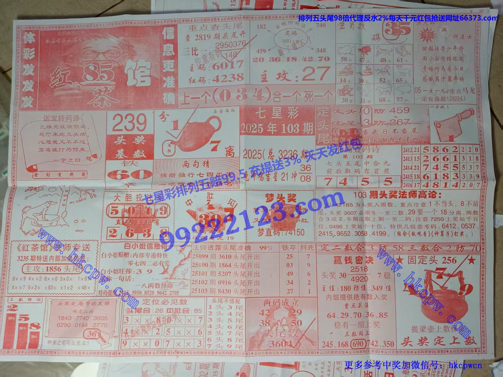 ���� (1).jpg