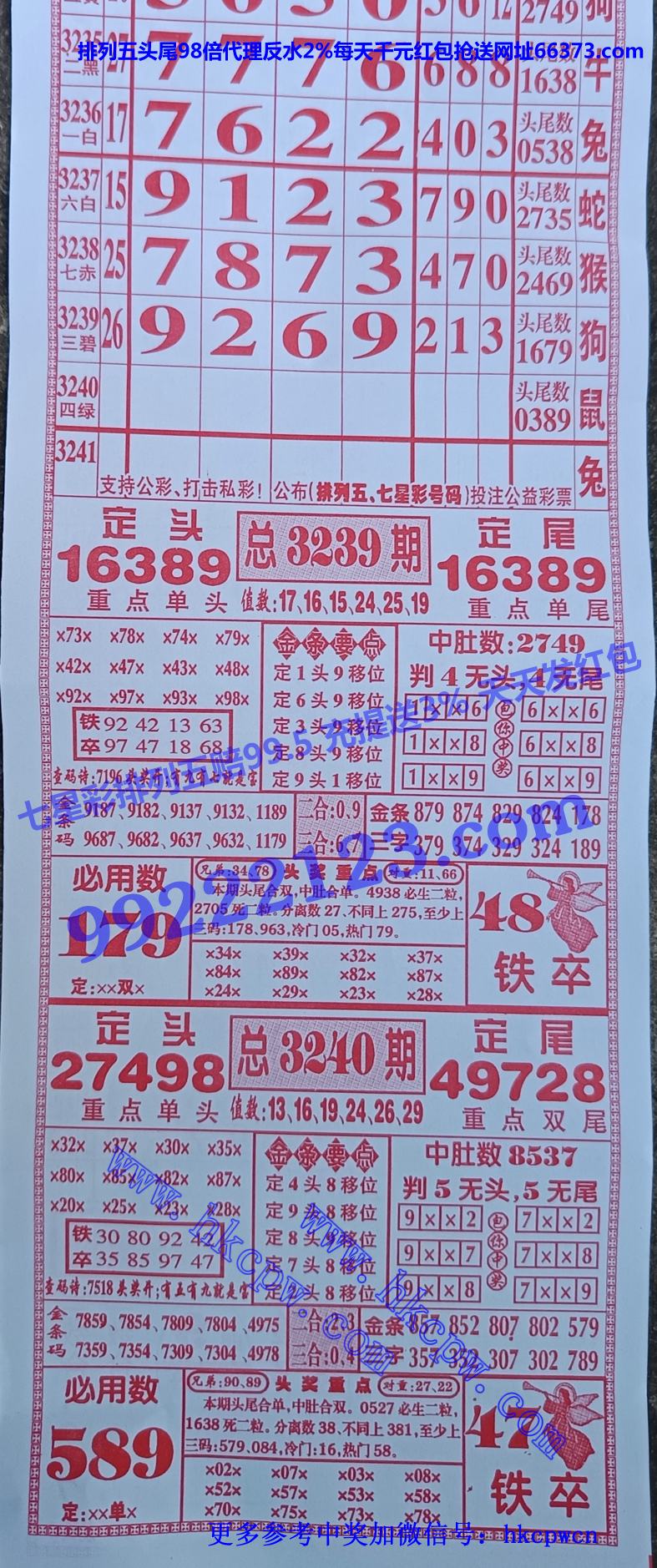 ���� (1).jpg