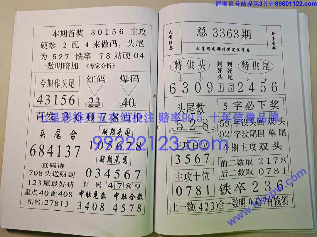 ��ز�¶ (41).jpg