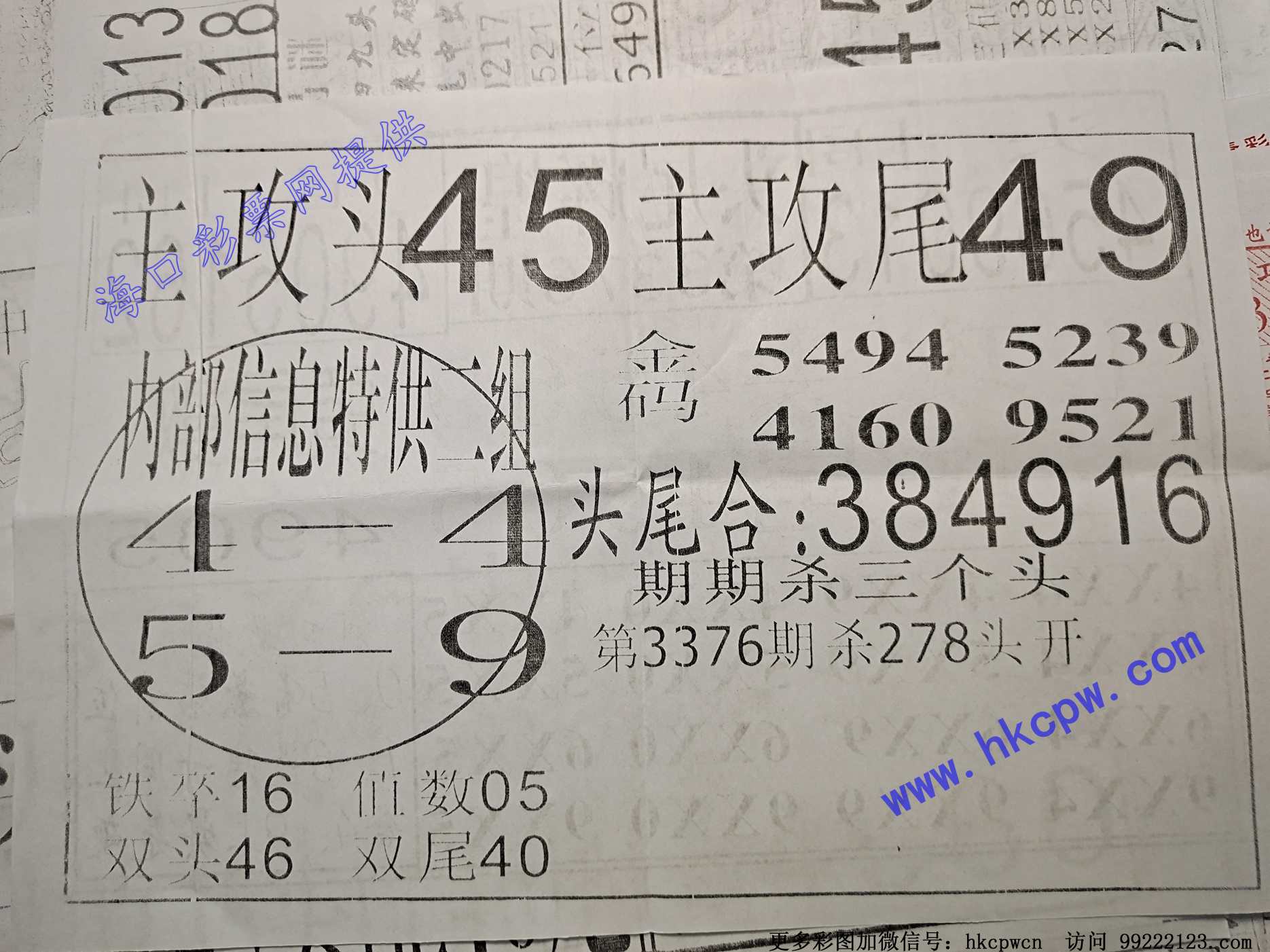ͷβ�Ի�B.jpg
