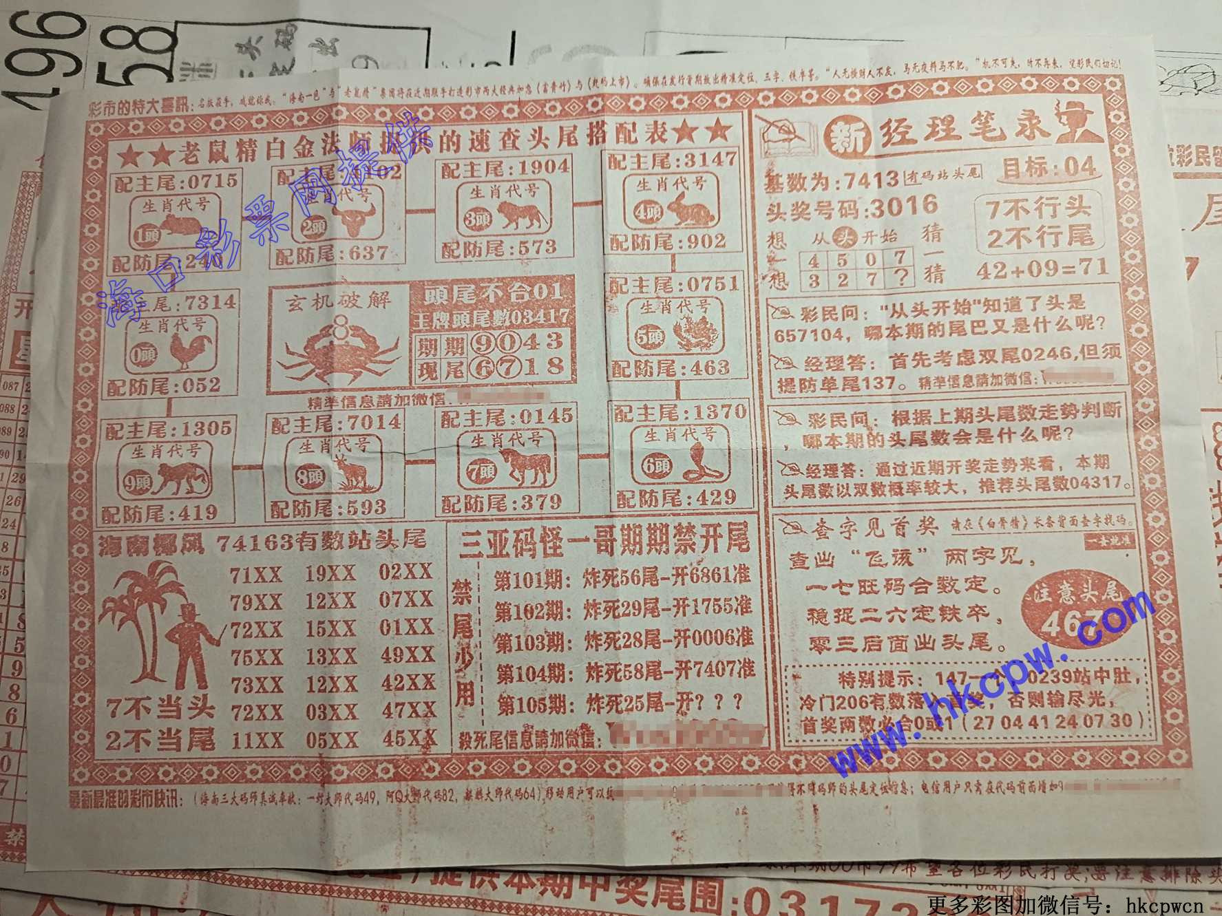 ͷβ������ B.jpg